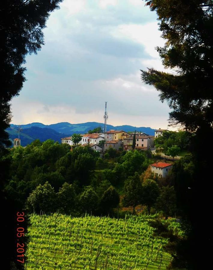 Fra Bosco E Cielo B&B Mercato Saraceno Exterior foto